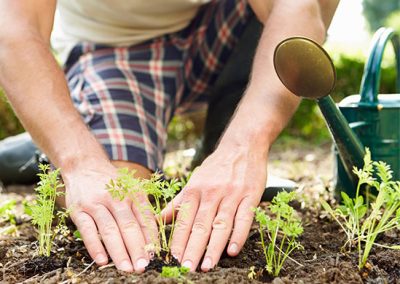 Mulching